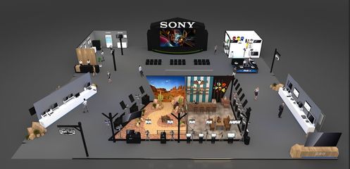 “踐行4K,蓄勢(shì)8K”的先行者--BIRTV展前專(zhuān)訪(fǎng)索尼中國(guó)專(zhuān)業(yè)系統(tǒng)集團(tuán)創(chuàng)新業(yè)務(wù)開(kāi)發(fā)本部節(jié)目制作市場(chǎng)部總監(jiān)孫自力